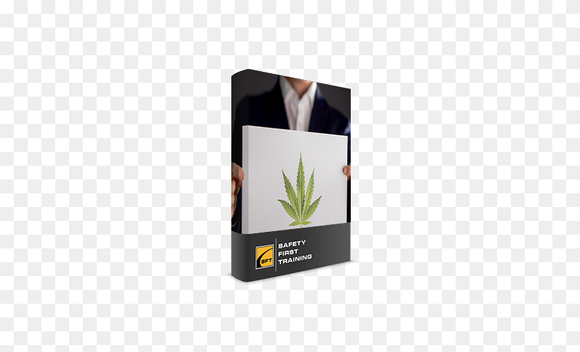 236x450 Marijuana In The Workplace Medical Marijuana Online Cannabis - Weed Smoke PNG