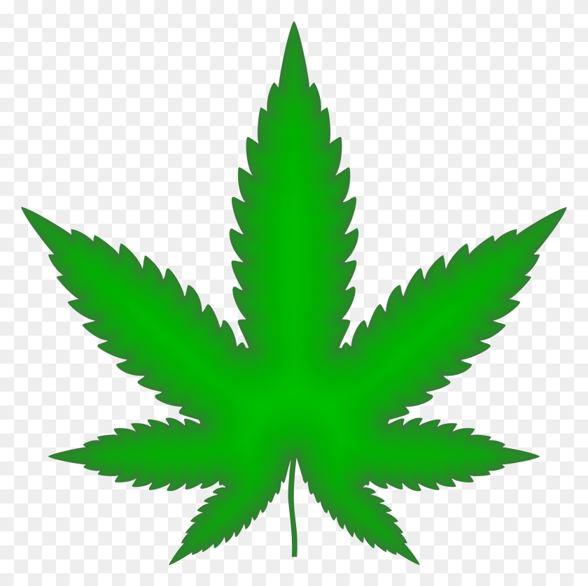 2334x2330 Hoja De Marihuana Png / La Hierba Verde Png