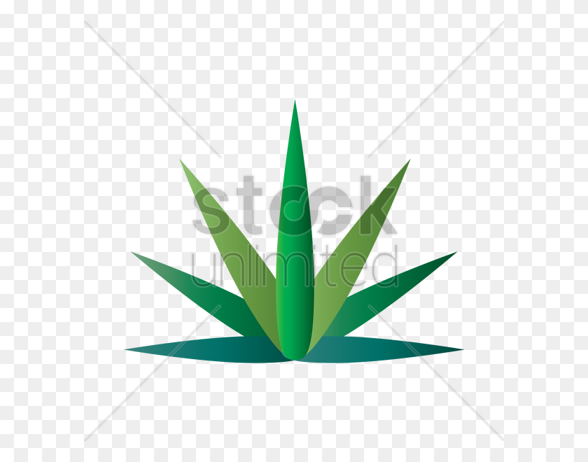 600x600 Marijuana Leaf Vector Image - Marijuana Leaf PNG