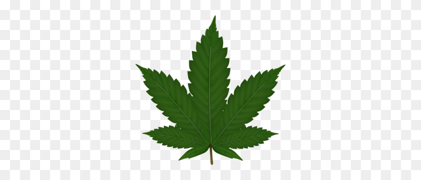 300x300 Marijuana Weed Leaf Clipart - Leaf PNG Clipart