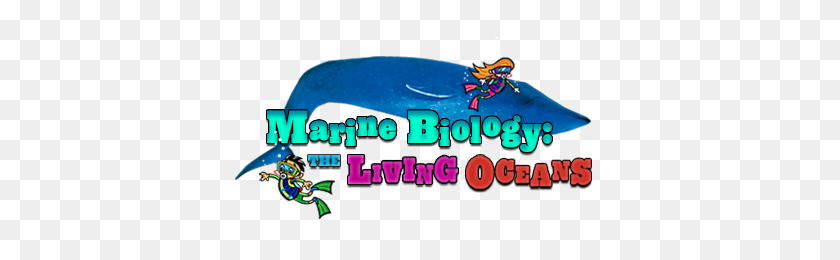 380x200 Marine Biology For Kids Ology Amnh - Marine PNG