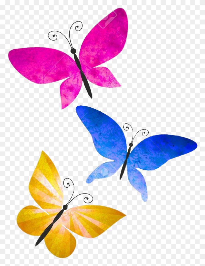 884x1167 Mariposas Colores Butterfly - Mariposas PNG