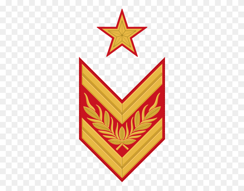 296x598 Mariscal De La Unión Soviética Insignia De Rango - Unión Soviética Png