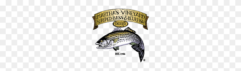 200x190 Martha's Vineyard Lubina Rayada Y Bluefish Derby - Bass Fish Png
