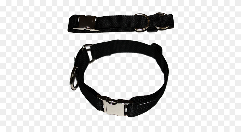 400x400 Martingale Dog Collar W Buckle - Dog Collar PNG