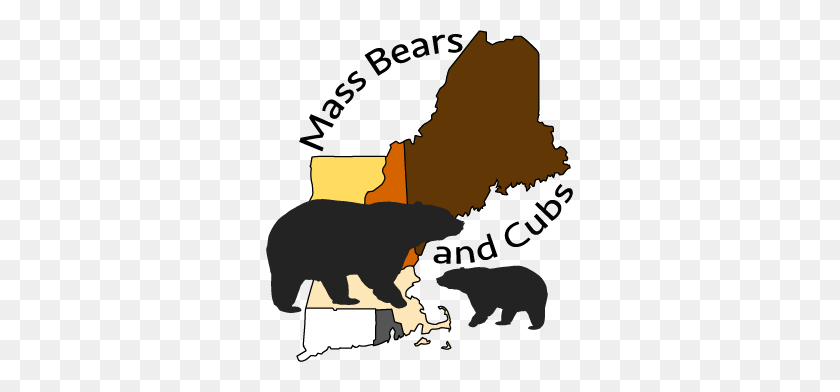 307x332 Mass Bears And Cubs - Bear Cub Clipart