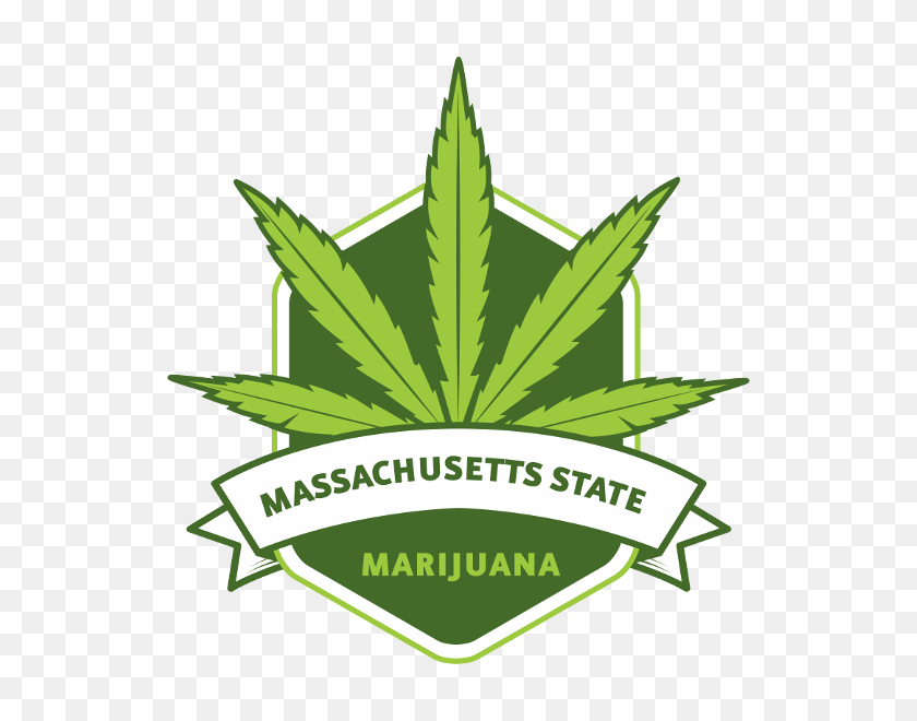 600x600 Mass State Marijuana - Marijuana Leaf PNG