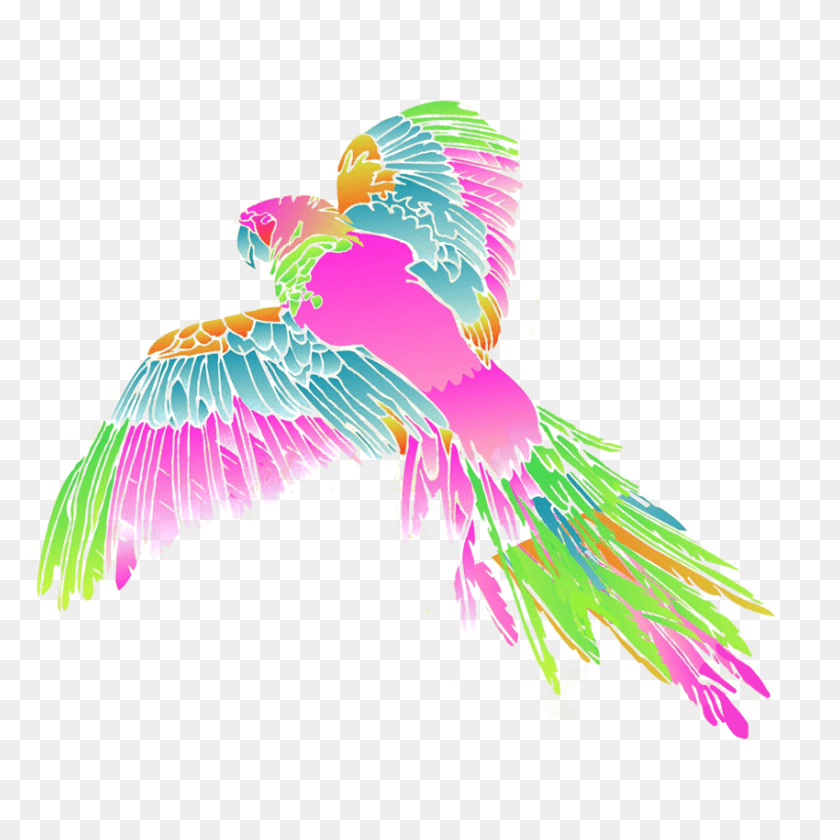 850x850 Matthew Williamson Official Online Store - Peacock Feather Clipart