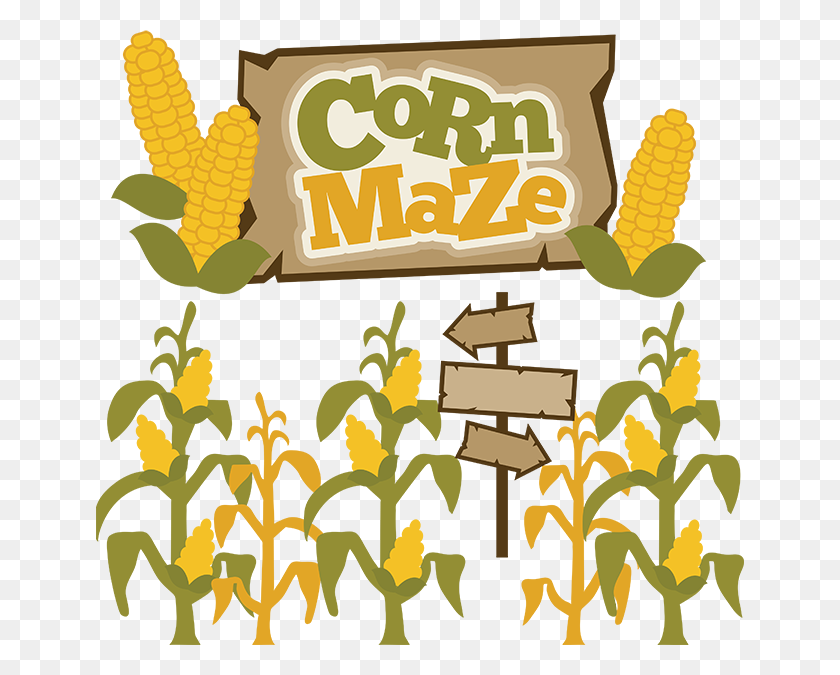 648x615 Maze Trivia - Corn Stalk PNG