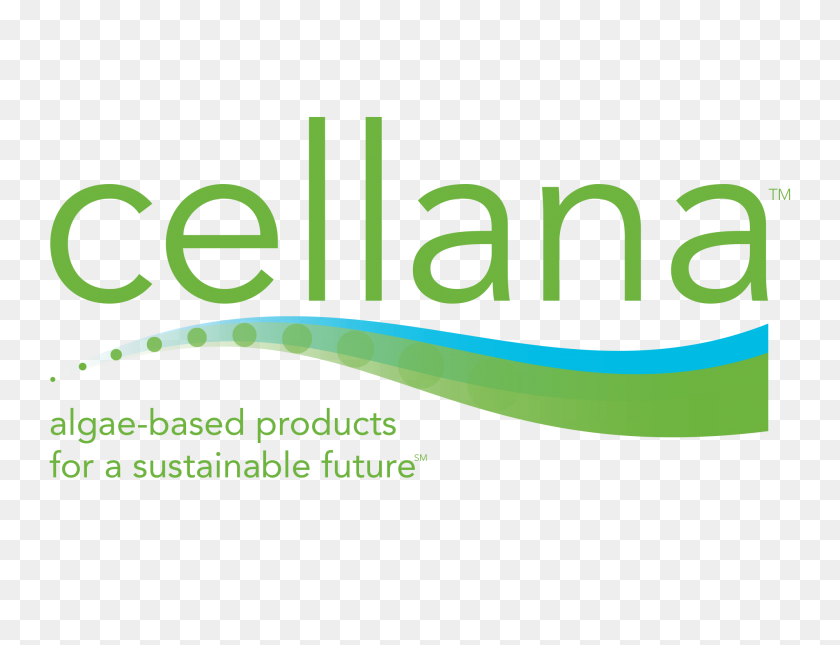 2000x1500 Media Cellana Algae Based Products For A Sustainable Future - Algae PNG