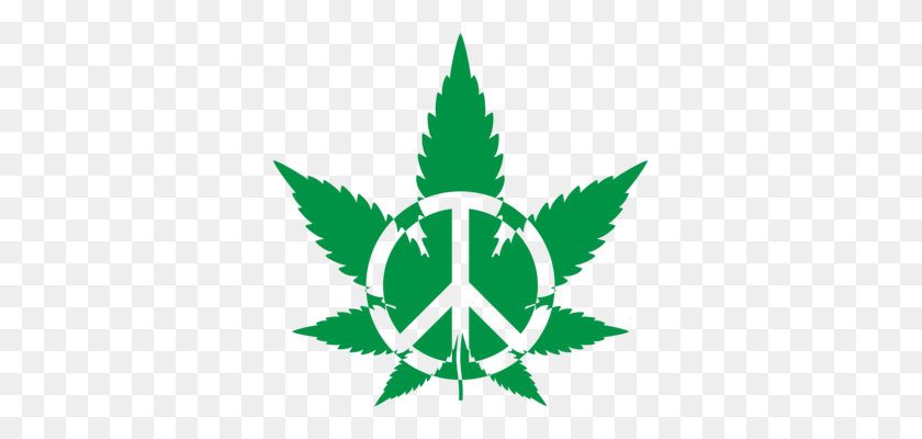 341x340 Medical Cannabis Hemp Plants Leaf - Cannabis Leaf PNG
