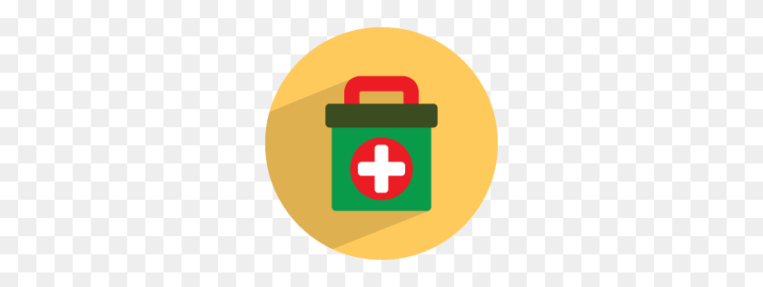 256x256 Medicine Box Icon Medical Health Iconset Graphicloads - Medical Icon PNG