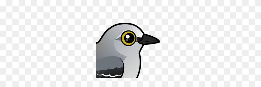 220x220 Meet The Cute Northern Mockingbird - Mockingbird PNG