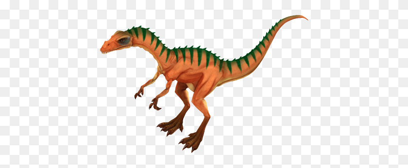430x287 Conoce A Los Dinosaurios - Velociraptor Png