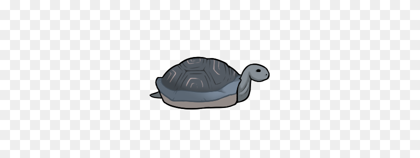 256x256 Megalochelys Megafauna - Desert Tortoise Clipart