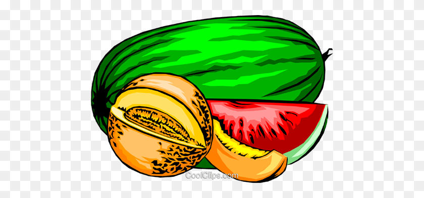 480x334 Melons Clipart - Cantaloupe Clipart