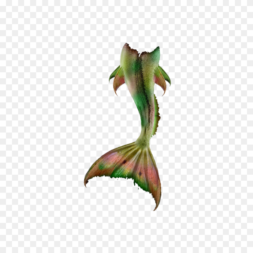 1773x1773 Mermaid Tail Fish Sirena Ftestickers - Mermaid Tail PNG