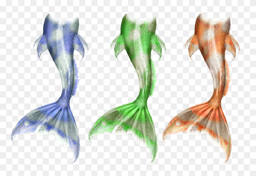 1024x681 Mermaid Tails Stock - Mermaid Scales PNG