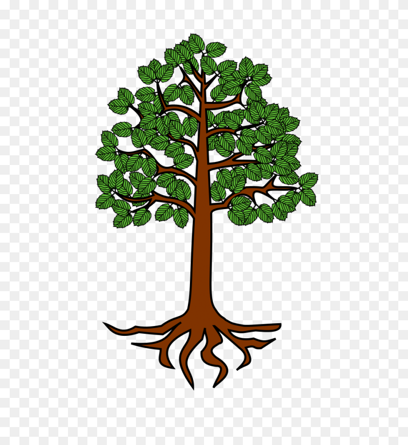 931x1024 Meuble Aulne - Tree With Roots PNG