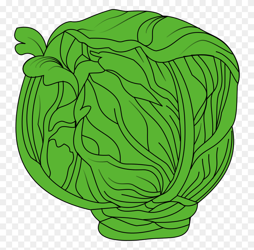 746x768 Meuble Choux Cabut - Cabbage Clipart