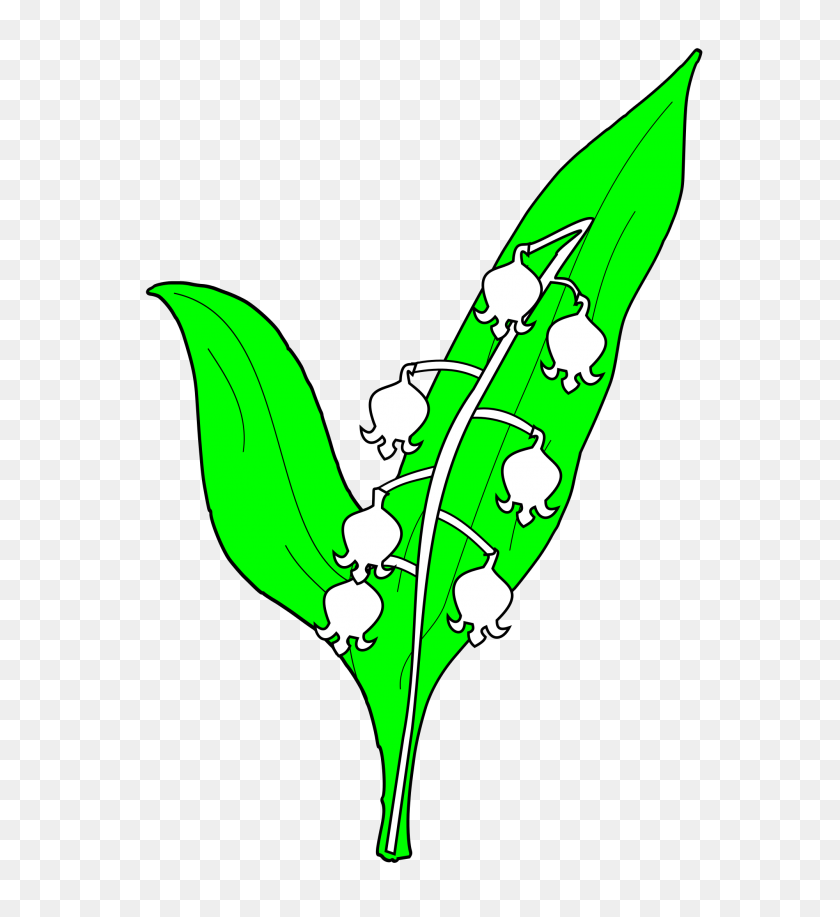 2000x2200 Meuble Muguet - Lily Of The Valley Clipart