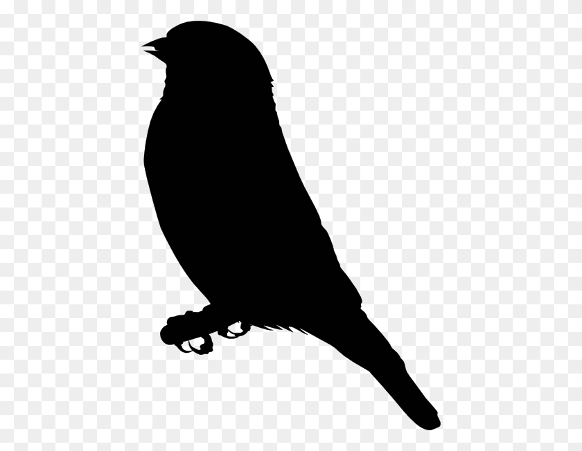 432x592 Michowwtru Gold Finch Clip Art Free Vector - Crow Clipart Black And White