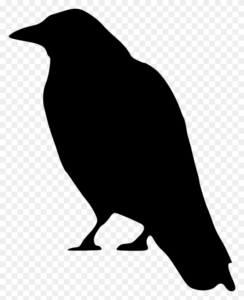 801x1000 Middle School Library Raven - Anvil Clipart