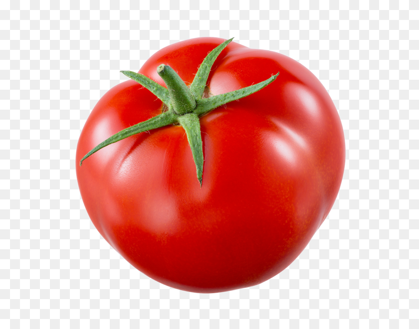 600x600 Mighty Matos Grafted Tomato Plants - Tomatoe PNG
