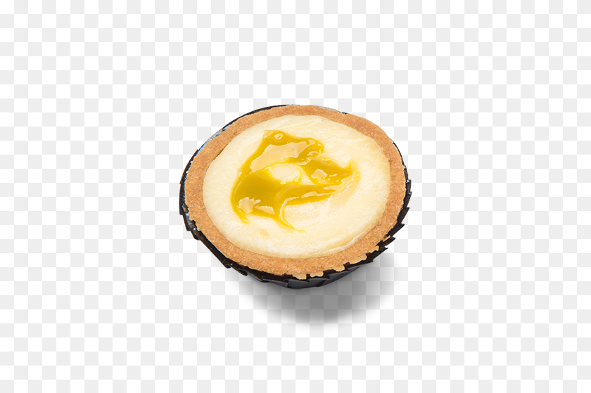 499x499 Mini Cheesecake Bites Limoncello - Cheesecake PNG