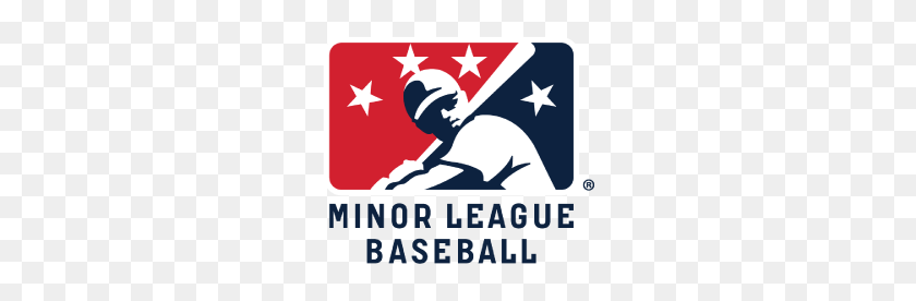 258x216 Las Ligas Menores De Béisbol De Béisbol Juvenil - Béisbol Logotipo Png