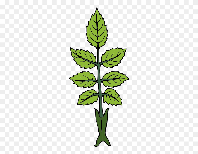 258x593 Mint Branch Png Large Size - Mint Leaves PNG