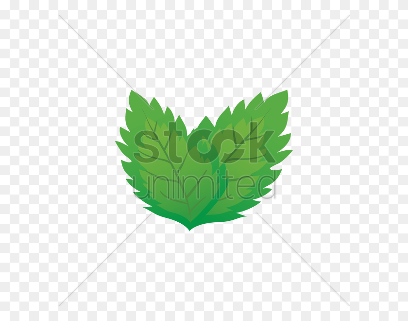 Mint Leaves Vector Image - Mint Leaf PNG