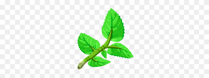 256x256 Mint Paradise Bay Wikia Fandom Powered - Mint Leaf PNG