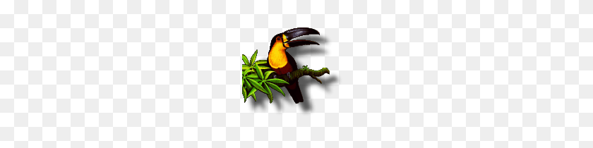 162x150 Miscellaneous Png Images Using Img With A Background - Toucan PNG