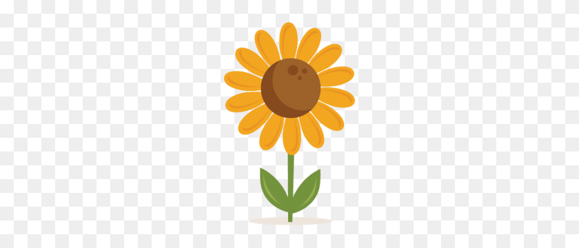 300x300 Miss Kate Cuttables Sunflower Svgs Cutting - Black Eyed Susan Clipart