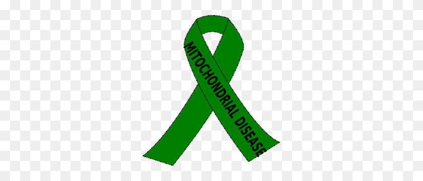 273x300 Mitochondrial Disease Green Awareness Ribbon Clip Art Green - Spinal Cord Clipart