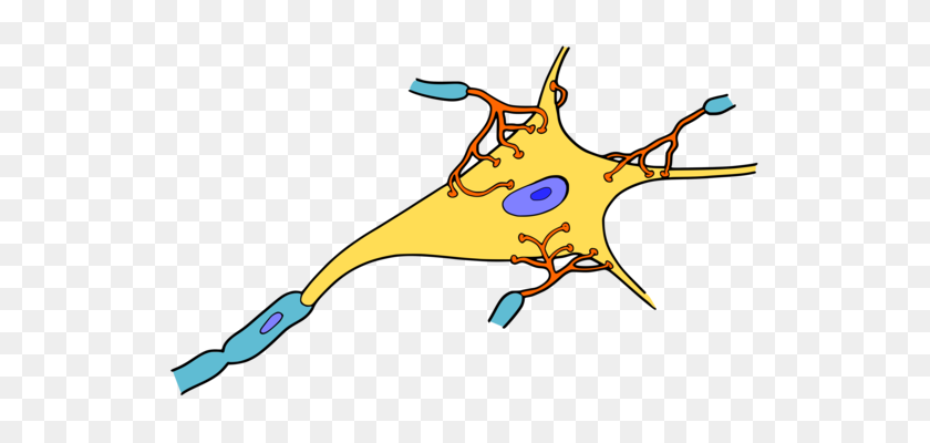 546x340 Mitocondria De La Célula De La Planta Organelo De Dibujo - El Citoplasma De Imágenes Prediseñadas