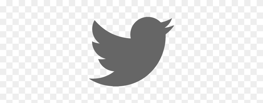 270x270 Основные Принципы Взлома Бренда Mlh - Логотип Twitter В Png Белый