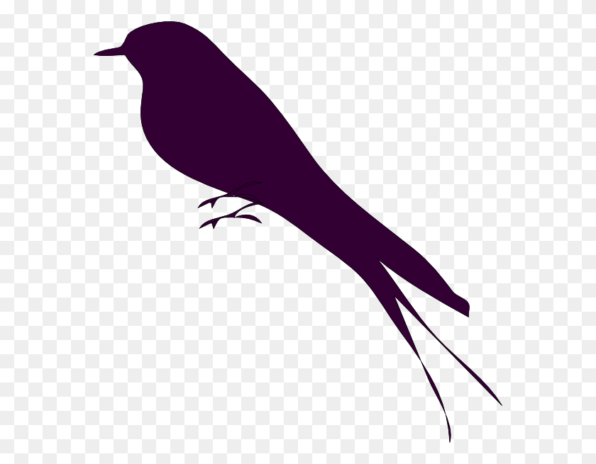576x595 Mockingbird Exotical Bird Clip Art - Feather With Birds Clipart