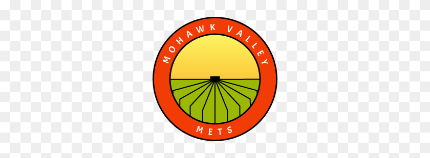 250x250 Mohawk Valley Mets Programa De Educación Para Migrantes Del Estado De Nueva York - Mohawk Png