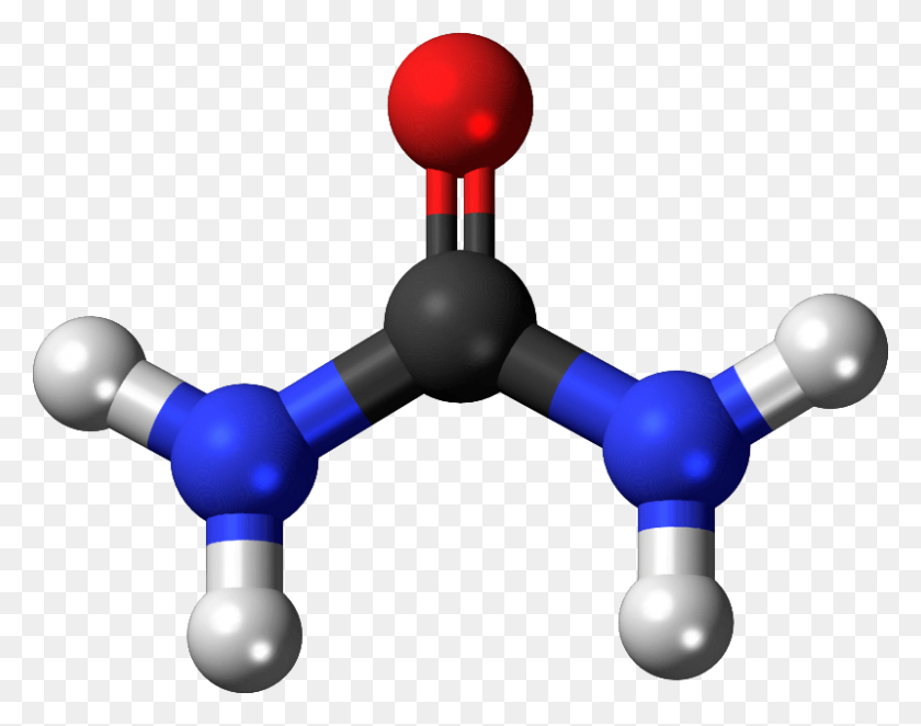800x618 Клипарт Химия Молекул, Исследуйте Картинки - Атомный Клипарт Черно-Белый