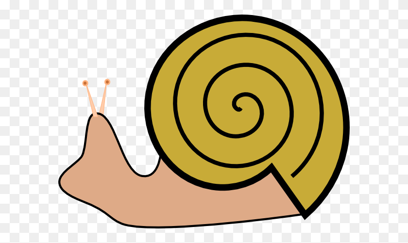 600x441 Mollusc Clipart Snail Shell - Oyster With Pearl Clipart