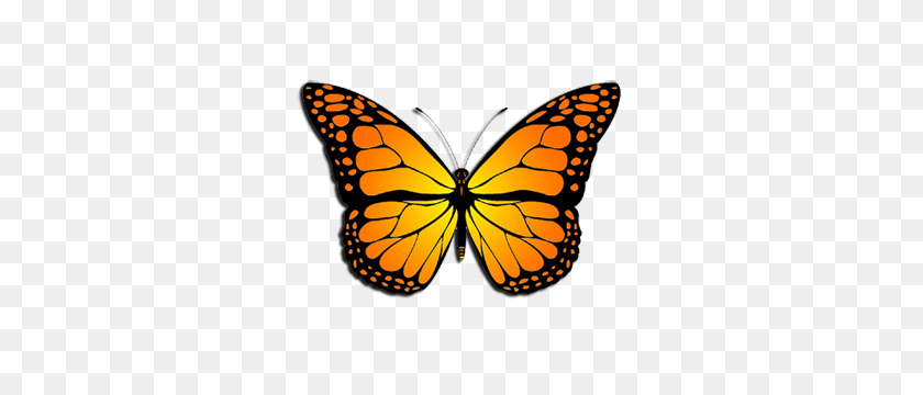 300x300 Monarch Butterfly - Monarch Butterfly PNG