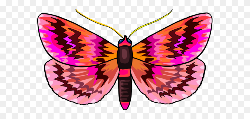 589x340 Насекомое Биосферного Заповедника Бабочка Монарх - Биосферный Клипарт