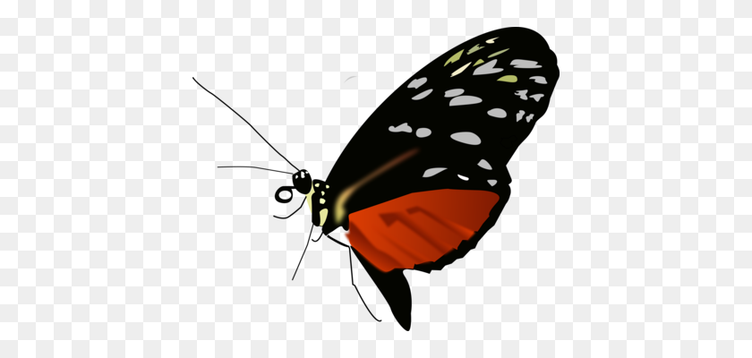 410x340 Бабочка Монарх Биосферный Заповедник Насекомых - Крылья Бабочки Клипарт