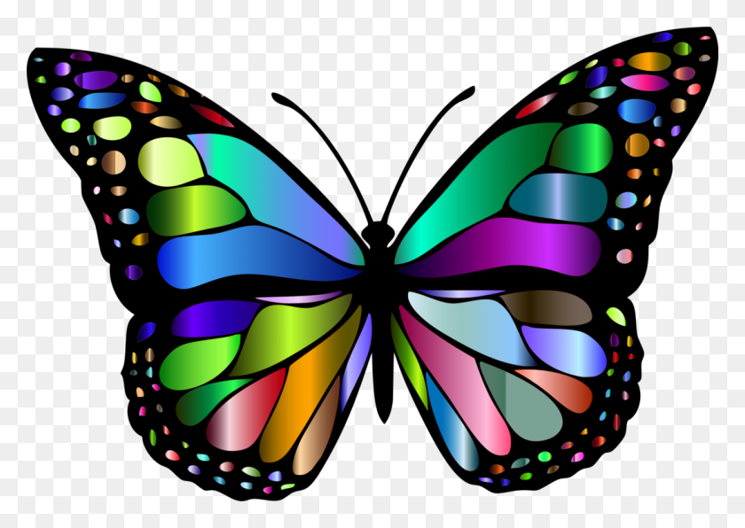 1090x750 Монарх Бабочка Бабочки Насекомые Бабочка Бесплатно - Настоящая Бабочка Png