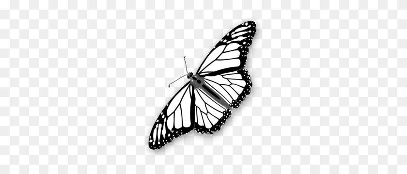 255x299 Monarch Butterfly Bw Clip Art - Monarch Butterfly PNG
