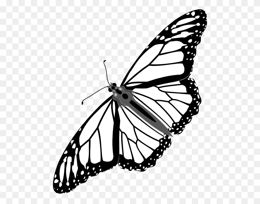 498x599 Monarch Butterfly Bw No Shadow Clip Art - Shadow Clipart