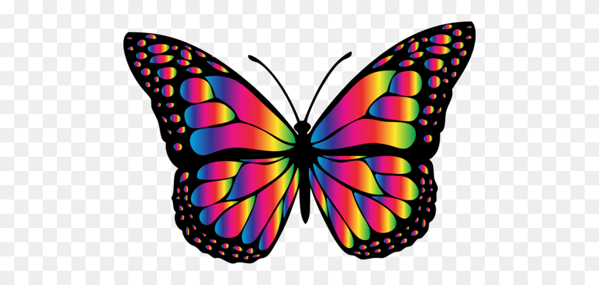 494x340 Бабочка Монарх Компьютерные Иконки Насекомое Животное - Летающая Бабочка Клипарт