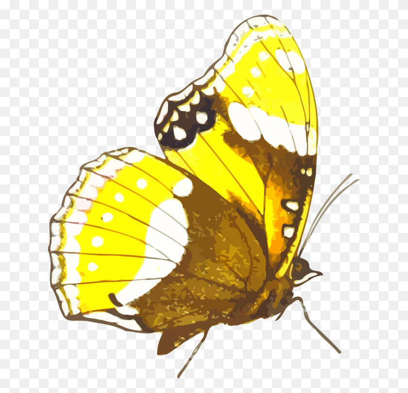 641x750 Бабочка Монарх Компьютерные Иконки Пьериды Цифровое Изображение Бесплатно - Бабочка Монарх Клипарт